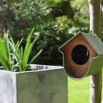 De Ijsvogel