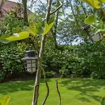 De Ijsvogel Heiloo