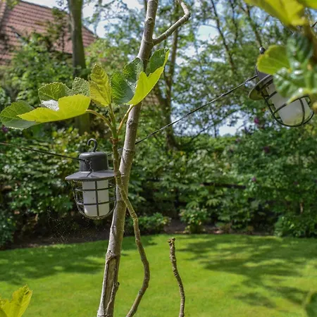 De Ijsvogel Heiloo