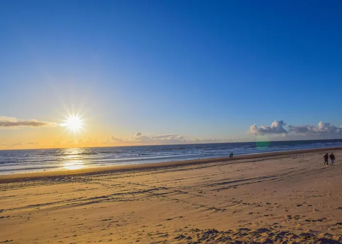 De Ijsvogel 別荘 ハイロープ