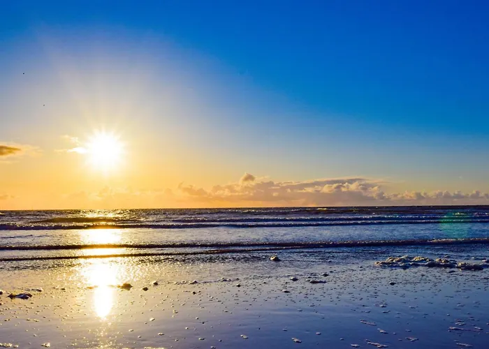 De Ijsvogel 別荘 ハイロープ