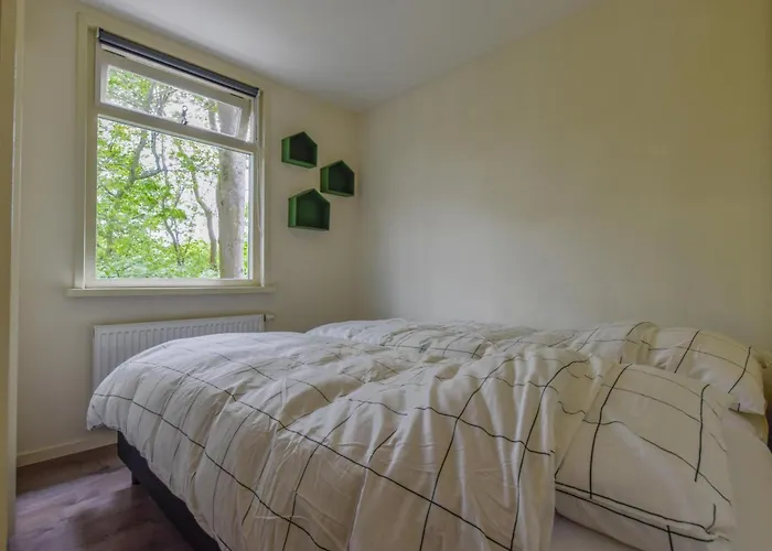 別荘 De Ijsvogel *