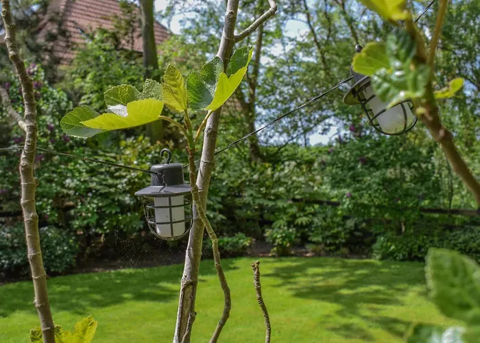 De Ijsvogel ハイロープ